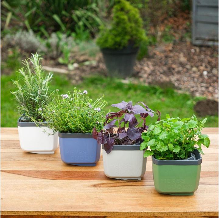 Produktbild Gusta Garden Herbs Buddy (14.90 x 16.30 x 14.50 cm)