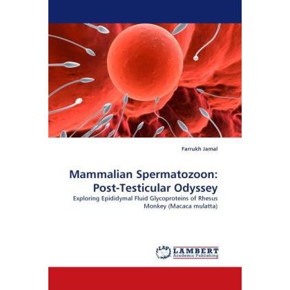 Mammalian Spermatozoon: Post-Testicular Odyssey, Fachbücher von Farrukh Jamal