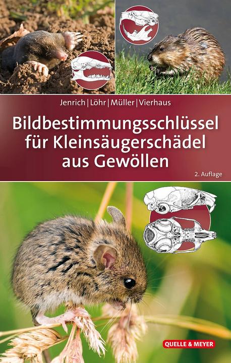 Produktbild Bildbestimmungsschlüssel für Kleinsäugerschädel aus Gewöllen (Deutsch, Franz Müller, Henning Vierhaus, Joachim Jenrich, Paul-Walter Löhr, 2018)