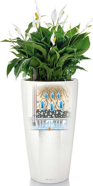 Produktbild Lechuza Rondo (40 cm)