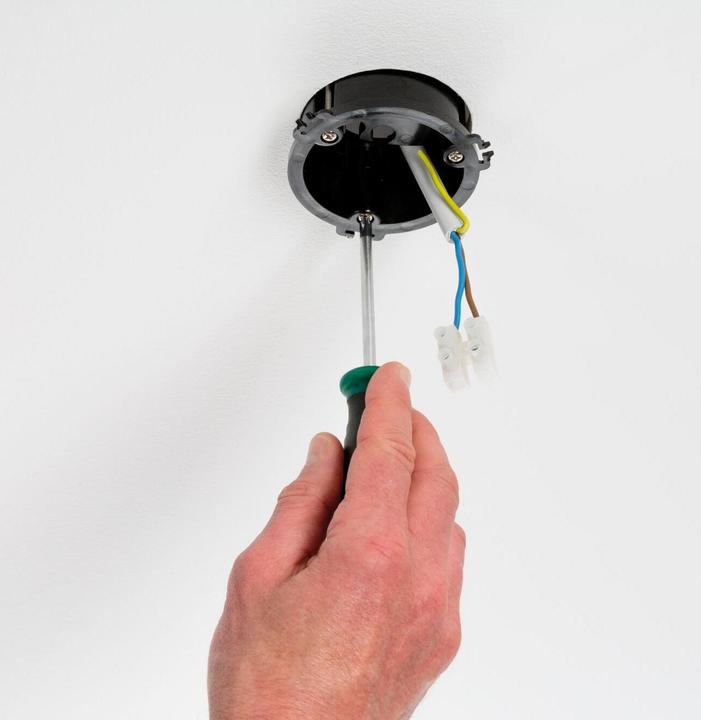 Actual product image Paulmann Adapter for pendant light