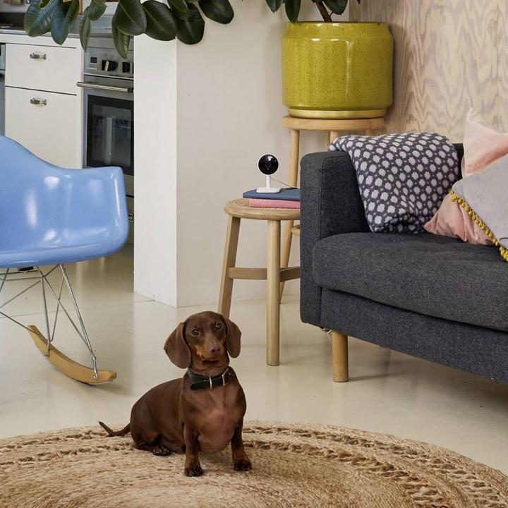 Actual product image Yale Smart indoor camera (1920 x 1080 Pixels)