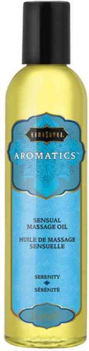 Image du produit Kamasutra Pleasure Garden (236 ml)