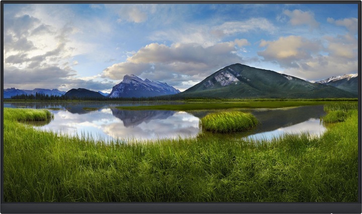 Actual product image Dell P2422H (1920 x 1080 pixels, 23.80")