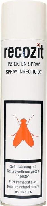Produktbild Recozit Insekten Pyrethrum Spray (Ameisen, Motten, Silberfische, Mücken, Fliegen)