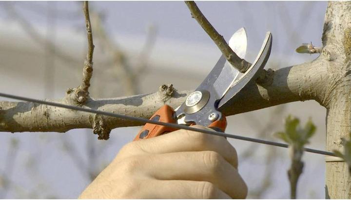 Image du produit Bahco Ciseaux Ergo-Profi, M, 20mm