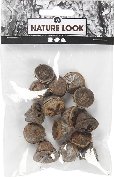 Immagine prodotto Creativ Company Frutti di eucalipto