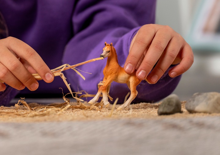 Produktbild Schleich Araber Fohlen