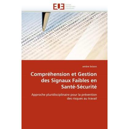 Compréhension et Gestion des Signaux Faibles en Santé-Sécurité, Fachbücher
