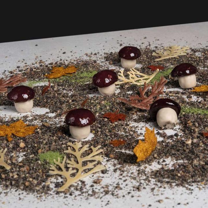 Image du produit Pavoni Moule en silicone Champignon