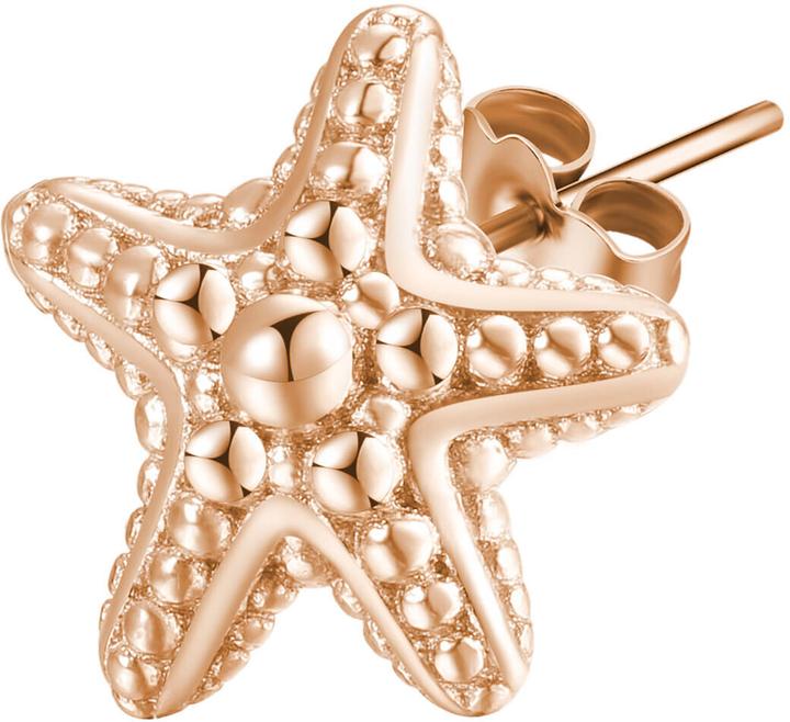Produktbild Rosato Bronze single earrings Starfish Storie RZO031 (L)