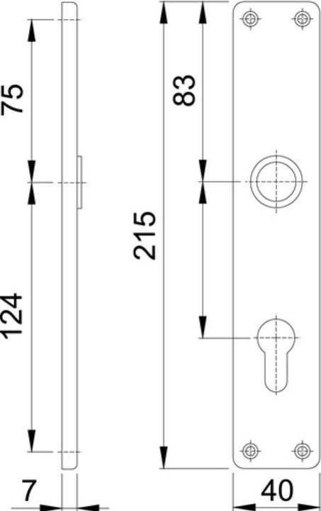 Actual product image Hoppe Long plate pair 202SP F1/ natural-coloured F1 PZ 72 mm (Door plate set)