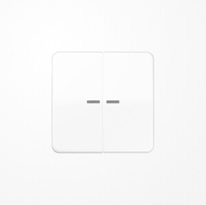 Image du produit JUNG BTCD17102WW HOME Bouton-poussoir double