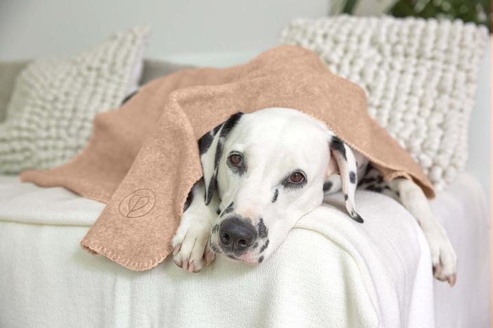 Produktbild Palopa Mathilda (Hund)
