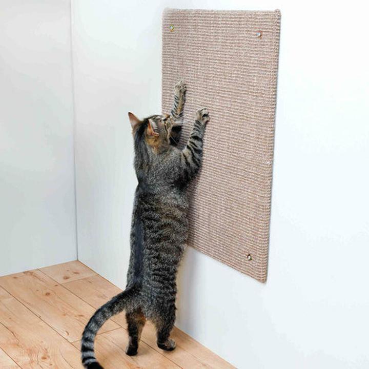 Actual product image Trixie scratching board (Light brown)