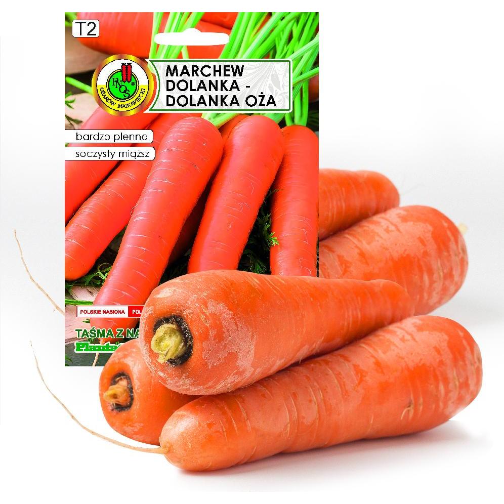 Apte, Semi, PNOS Samen auf Band Essbare Karotte Dolanka 6 m Band (Semi di verdura)