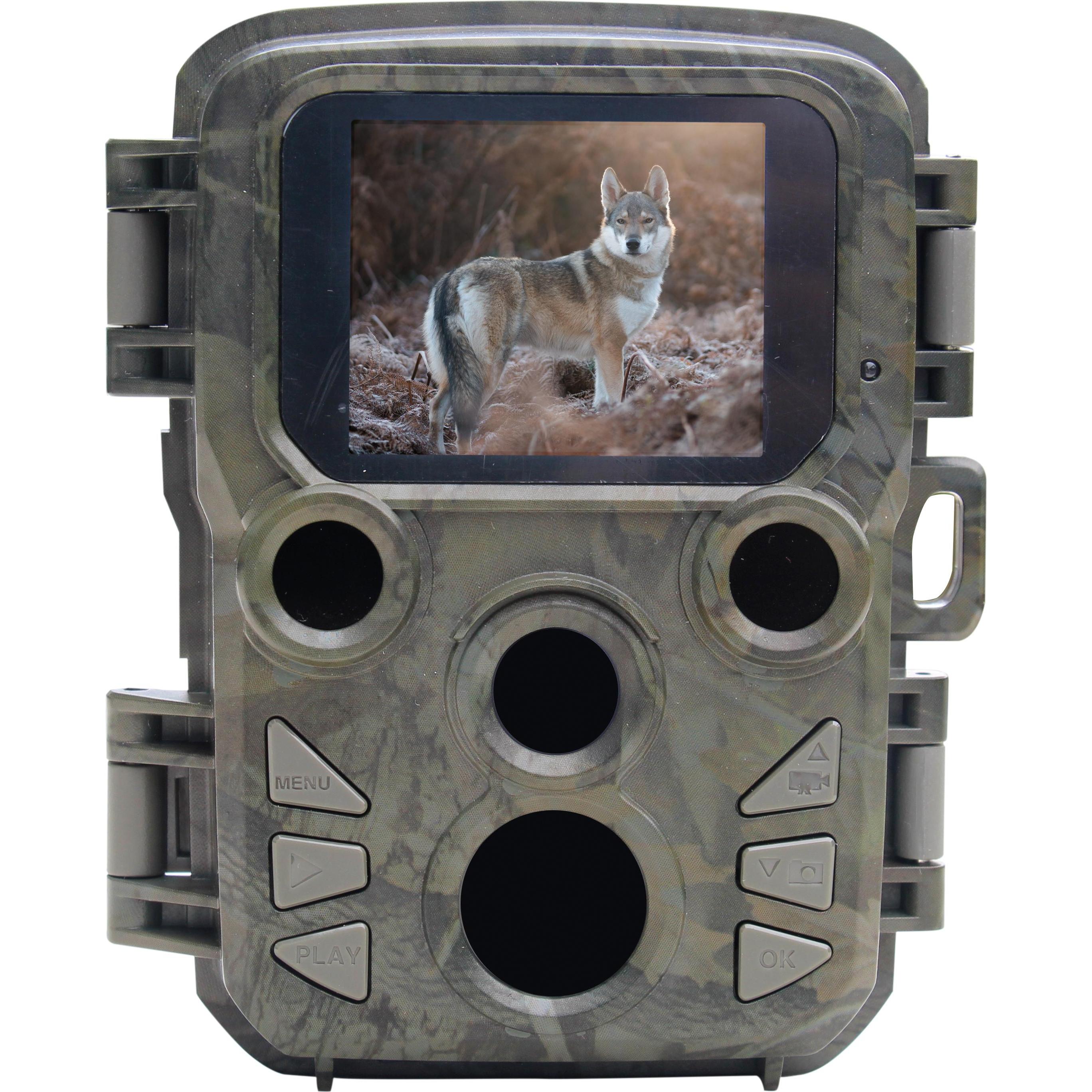 Braun Photo, Wildkamera