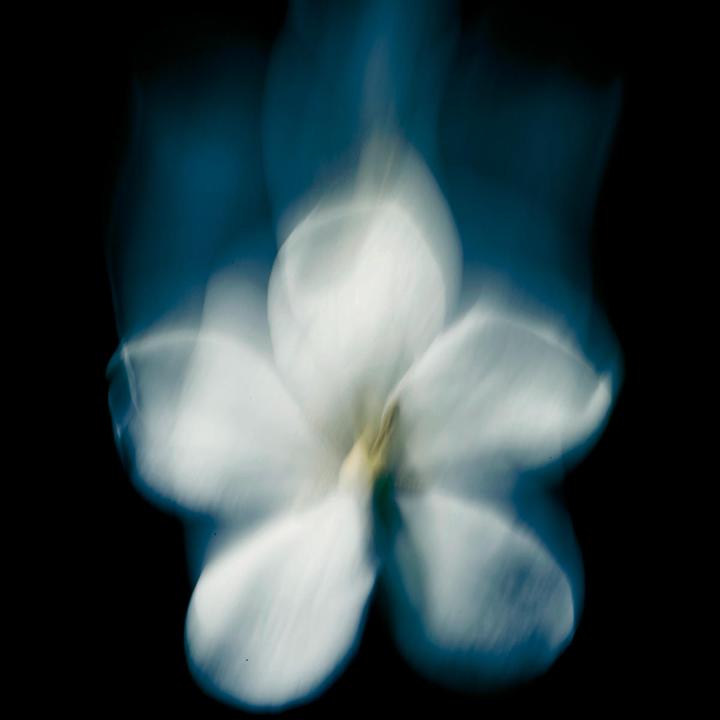 Actual product image Maison Crivelli Patchouli Magnetics (Extrait De Parfum, 50 ml)