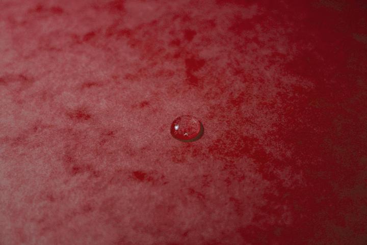 Immagine prodotto Exacompta Cartelle A4 (A4, 1x)