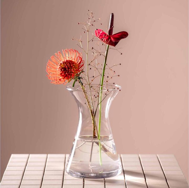 Actual product image Leonardo Vase Gia 23 cm, Transparent (1x, 5.63 l)