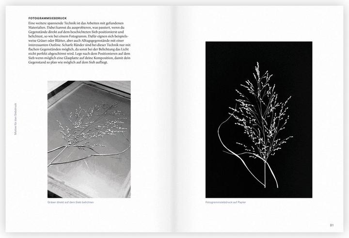 Immagine prodotto Siebdruck zu Hause (Tedesco, Pippa Parragh, 2023)