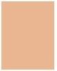Actual product image Estée Lauder Double Wear Stay-In-Place (1W2 Sand)