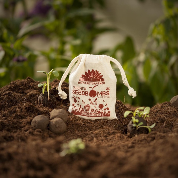 Image du produit Die Stadtgärtner Bombes de graines Délice des abeilles (Graines de fleurs)