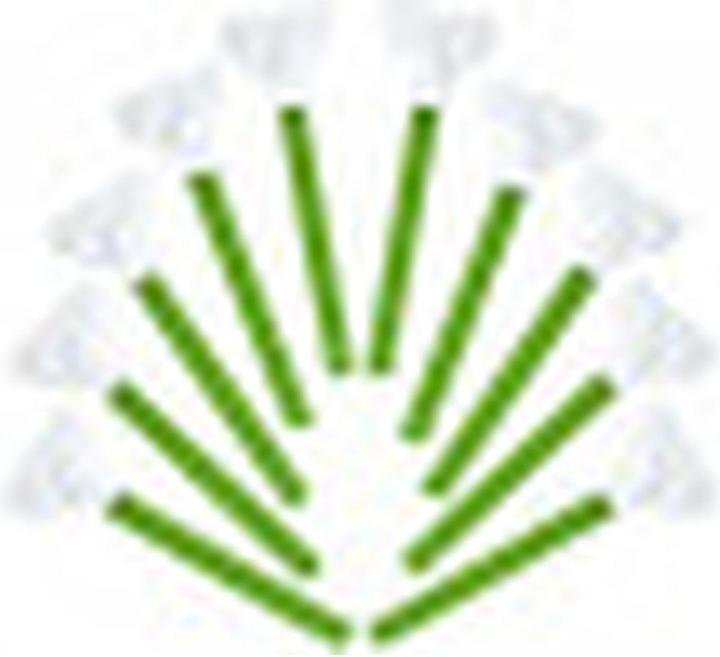 Produktbild Visible Dust Swabs Digital Back