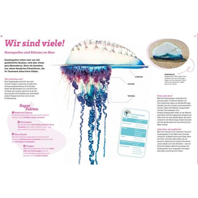 Thumbnail - WAS IST WAS Quallen. Alles nur Glibber?!, Kinderbücher von Uli Kunz, Dr. Florian Huber