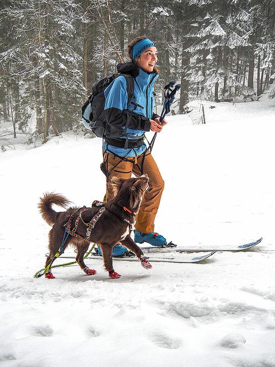 Immagine prodotto Mamo Sistema di cinture Infinity a 360°