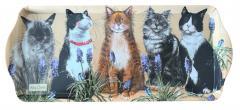 Produktbild Alex Clark Art Mittleres Katzentablett