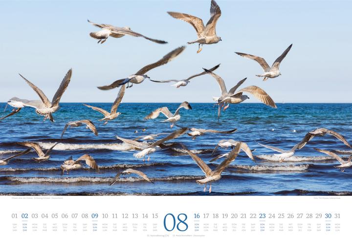 Image du produit Tage am Meer Kalender 2026 (45 x 33 cm, Couverture rigide, Anglais, Français, Allemand)