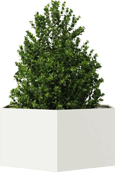 Produktbild vidaXL Pflanzkübel