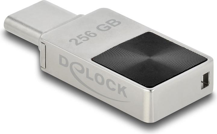 Immagine prodotto Delock Mini (256 GB, USB-C)