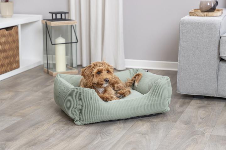 Produktbild Trixie Marley (Hund)