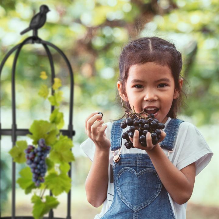 Image du produit Relaxdays Owen