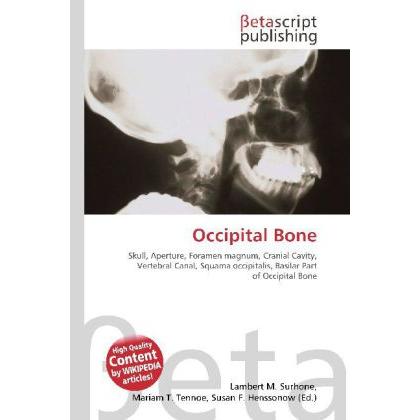 Occipital Bone, Fachbücher