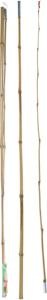 Actual product image Fishing rod bamboo, 2mtr. (200 cm)