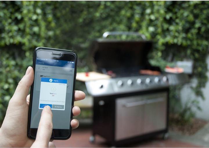 Produktbild Charcoal Companion Bluetooth Thermometer