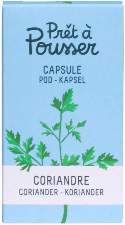 Prêt à Pousser Koriander (Kräutersamen)