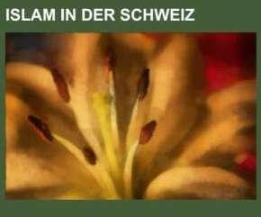 Actual product image Islam in der Schweiz (German, 2013)