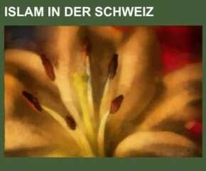Produktbild Islam in der Schweiz (Deutsch, 2013)