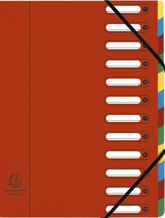 Actual product image Exacompta HARMONIKA - A4 file folders (A4, 1 x)