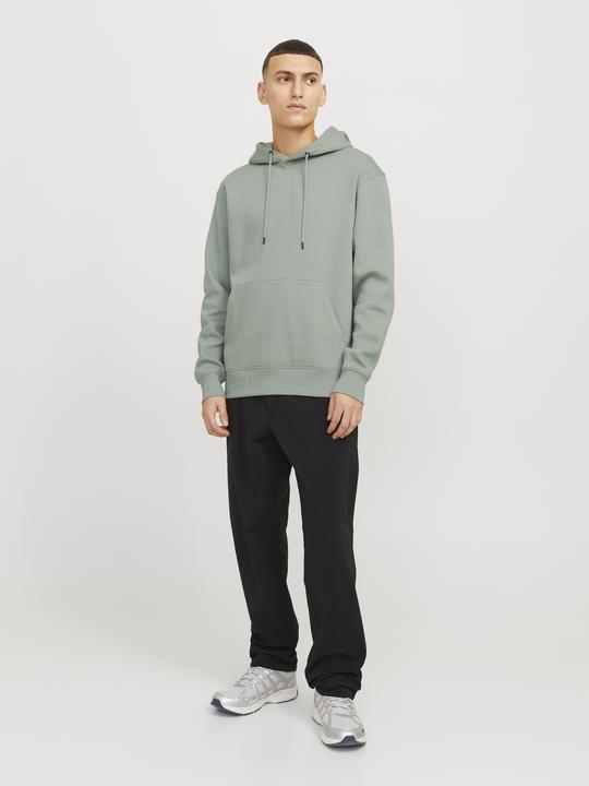 Actual product image Jack & Jones Jjestar Basic Sweat Hood Noos (XS)