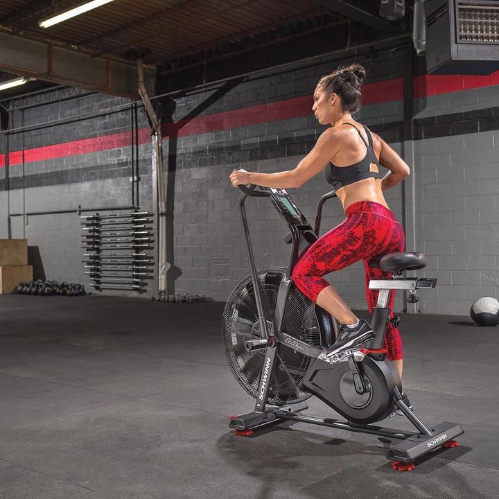 Actual product image Schwinn AD8 Airdyne Bike