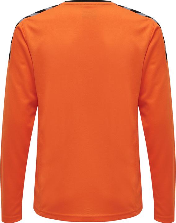 Image du produit hummel Authentic Kids Poly Jersey L/S (116)