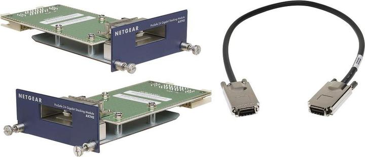 Netgear AX742, two 24 Gigabit Ethernet XFP adapter modules (Switch module)