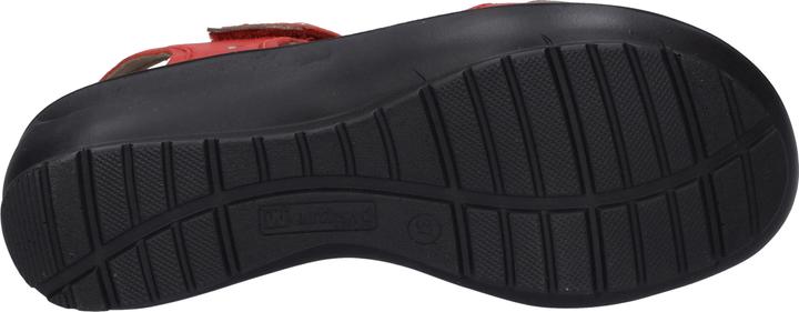 Actual product image Westland 25901-644 (38)