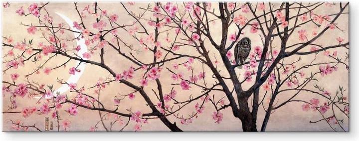 Trenddeko Coleman - Primavera - Panorama