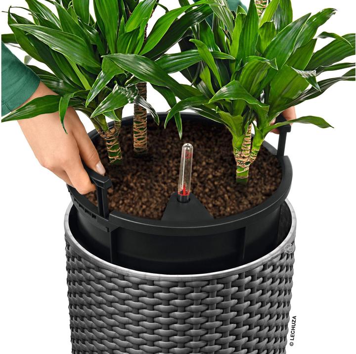 Produktbild Lechuza CILINDRO Cottage All-In-One (33 cm)